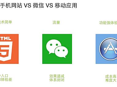 APIcloud刘鑫:今天SaaS更多的是API的服务