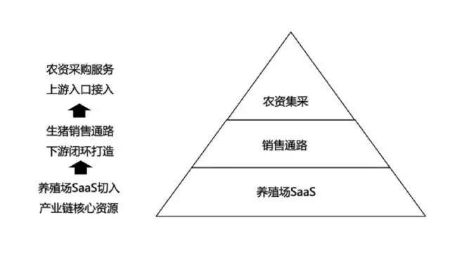 解密猪产业链：SaaS如何升级生猪养殖？