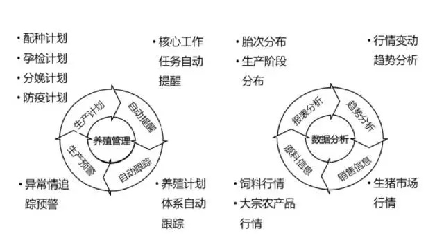 解密猪产业链：SaaS如何升级生猪养殖？