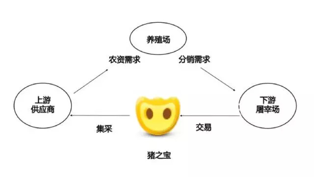 解密猪产业链：SaaS如何升级生猪养殖？